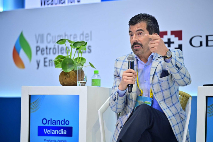 Proyecto de gas Sirius "va por buen camino" y entraría al mercado en 2030: Petrobras