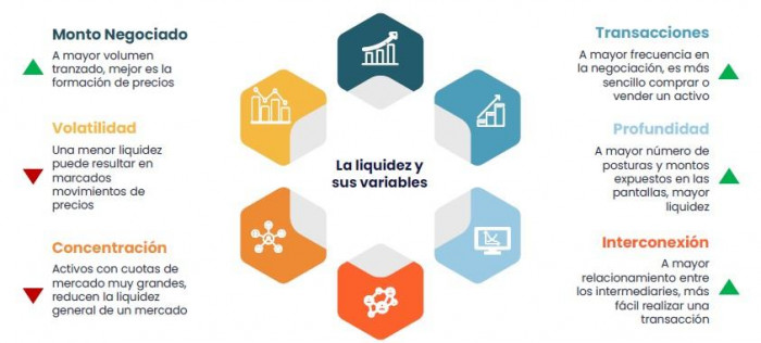 AMV lanza índice de liquidez del mercado: confirma buen momento de las acciones e incertidumbre en deuda pública Índice de Liquidez del Mercado: dimensiones