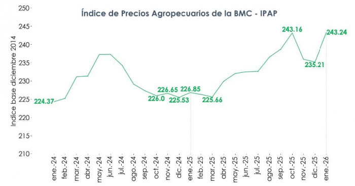 Precios del agro arrancaron 2026 al alza: indicador de la Bolsa Mercantil subió 3,4 % en enero Precios del agro: histórico IPAP