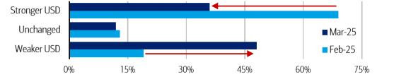 Dólar débil: Encuesta de Gestores de Fondos de Latinoamérica de Bank of America 