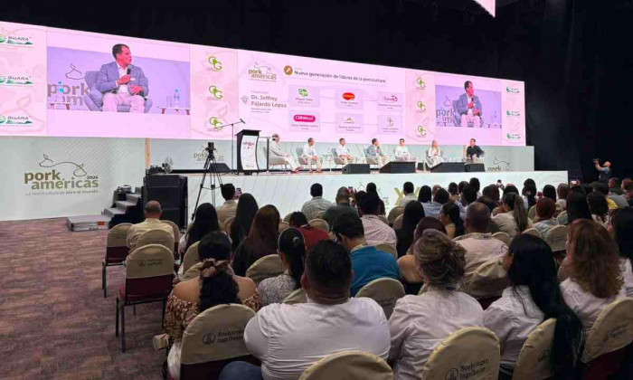 Entrevista | Porkcolombia sobre el nuevo Gobierno: "Por primera vez vemos una ruta hacia el desarrollo" Entrevista | Porkcolombia sobre el nuevo Gobierno: "Por primera vez vemos una ruta hacia el desarrollo"