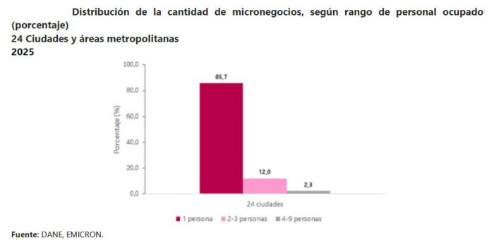 Bogotá y Medellín concentraron la mayoría de los micronegocios en Colombia: Sector aportó $51,3 billones en 2025 micronegocios en Colombia por cantidad de personal ocupado