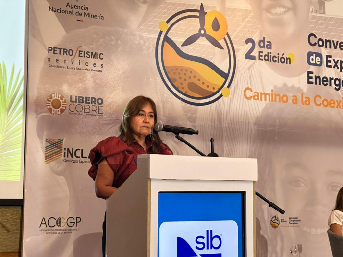 Ecopetrol tendría un portafolio lo suficientemente robusto en exploración de petróleo y gas hasta 2036 Ecopetrol tendría un portafolio lo suficientemente robusto en exploración de petróleo y gas hasta 2036