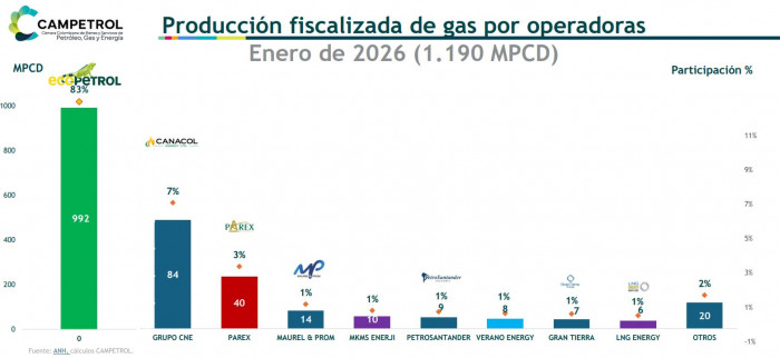 Producción de gas en Colombia comenzó el 2026 con importante caída; importaciones ya pesan 20 % Producción de gas en Colombia comenzó el 2026 con importante caída; importaciones ya pesan 20 %