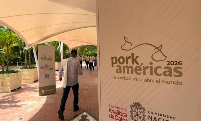 Entrevista | Porkcolombia sobre el nuevo Gobierno: "Por primera vez vemos una ruta hacia el desarrollo" Entrevista | Porkcolombia sobre el nuevo Gobierno: "Por primera vez vemos una ruta hacia el desarrollo"