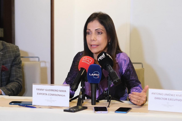 Entrevista | Así avanza el plan para que Colombia genere energía con hidrógeno: habla comisionada de la CREG