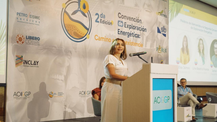 Entrevista | Presidente de la ANM: Colombia sí necesita explorar más en minería para activar su potencial Entrevista | Presidente de la ANM: Colombia sí necesita explorar más en minería para activar su potencial