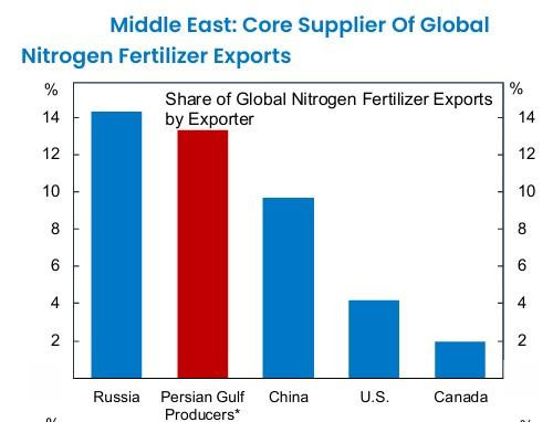 Guerra en Irán amenaza la seguridad alimentaria global por falta de fertilizantes Guerra en Irán y su impacto en los fertilizantes