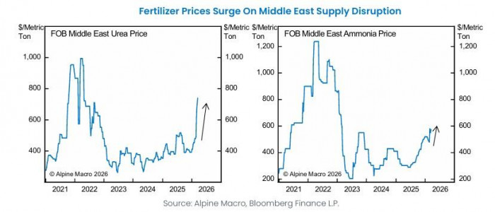 Guerra en Irán amenaza la seguridad alimentaria global por falta de fertilizantes Guerra en Irán y su impacto en los fertilizantes