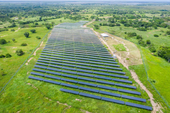 Entrevista | Promigas entra de lleno a las energías renovables: inversión representará la tercera parte de su negocio