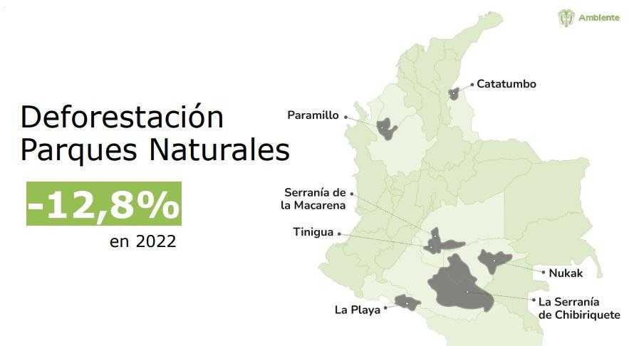 Deforestación en Colombia cayó con fuerza en 2022: la cifra más baja en 11 años