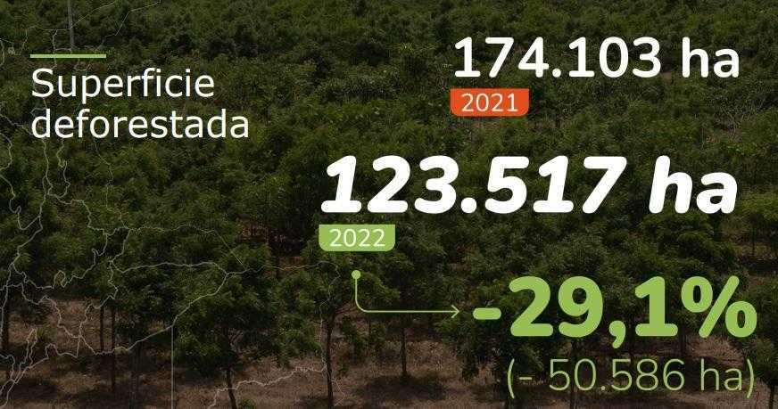 Deforestación en Colombia cayó con fuerza en 2022: la cifra más baja en 11 años. Imagen: MinAmbiente