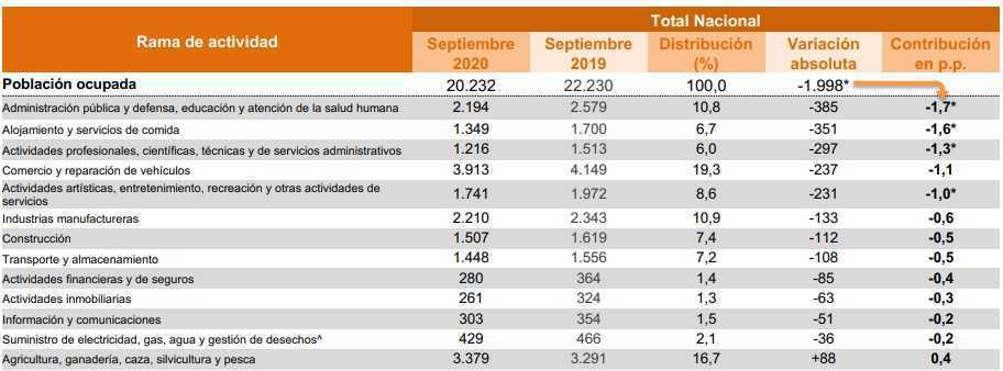 Ocupacion laboral Colombia por rama de actividad 2020